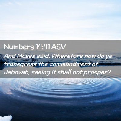 Picture 02 - Numbers 14:41 ASV - And Moses said, Wherefore now do ye transgress - Bible Verse Picture