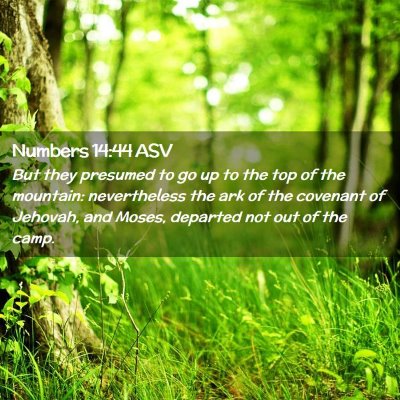 Picture 02 - Numbers 14:44 ASV - But they presumed to go up to the top of the - Bible Verse Picture