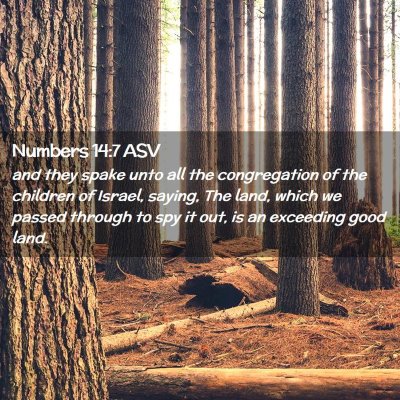 Picture 02 - Numbers 14:7 ASV - and they spake unto all the congregation of the - Bible Verse Picture