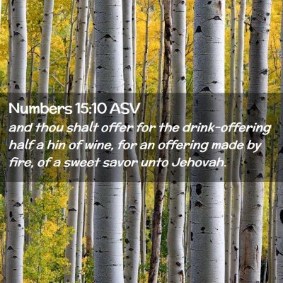Picture 02 - Numbers 15:10 ASV - and thou shalt offer for the drink-offering half - Bible Verse Picture