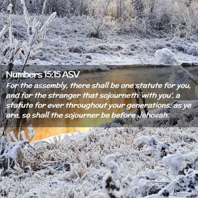 Picture 02 - Numbers 15:15 ASV - For the assembly, there shall be one statute for - Bible Verse Picture