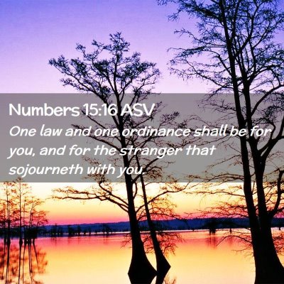Picture 02 - Numbers 15:16 ASV - One law and one ordinance shall be for you, and - Bible Verse Picture