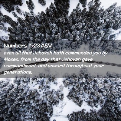 Picture 02 - Numbers 15:23 ASV - even all that Jehovah hath commanded you by - Bible Verse Picture