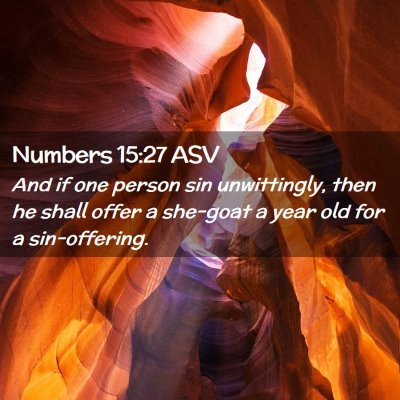 Picture 02 - Numbers 15:27 ASV - And if one person sin unwittingly, then he shall - Bible Verse Picture