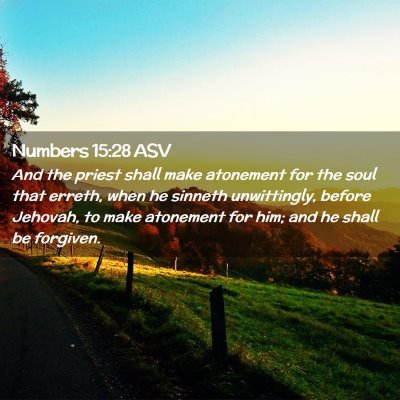 Picture 02 - Numbers 15:28 ASV - And the priest shall make atonement for the soul - Bible Verse Picture