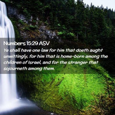 Picture 02 - Numbers 15:29 ASV - Ye shall have one law for him that doeth aught - Bible Verse Picture