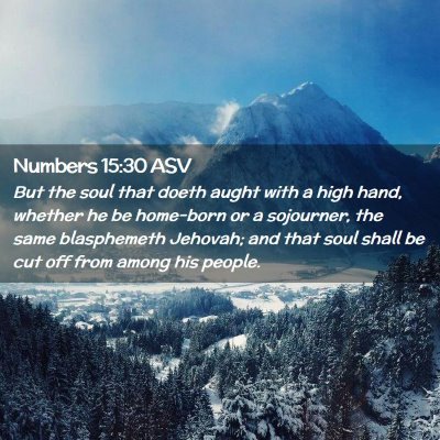Picture 02 - Numbers 15:30 ASV - But the soul that doeth aught with a high hand, - Bible Verse Picture
