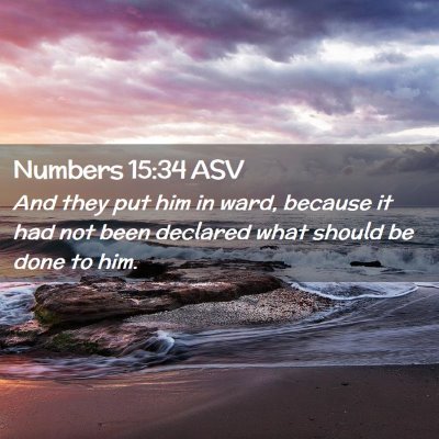 Picture 02 - Numbers 15:34 ASV - And they put him in ward, because it had not been - Bible Verse Picture
