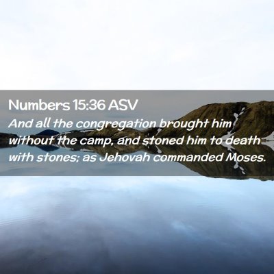 Picture 02 - Numbers 15:36 ASV - And all the congregation brought him without the - Bible Verse Picture