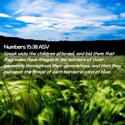 Picture 02 - Numbers 15:38 ASV - Speak unto the children of Israel, and bid them - Bible Verse Picture