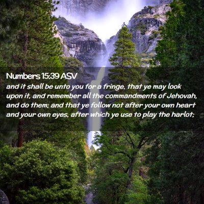 Picture 02 - Numbers 15:39 ASV - and it shall be unto you for a fringe, that ye - Bible Verse Picture