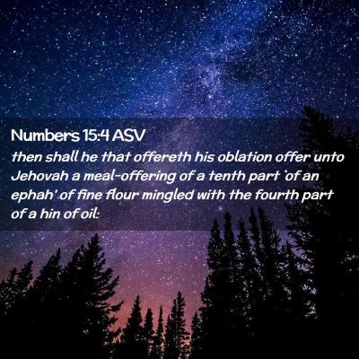Picture 02 - Numbers 15:4 ASV - then shall he that offereth his oblation offer - Bible Verse Picture