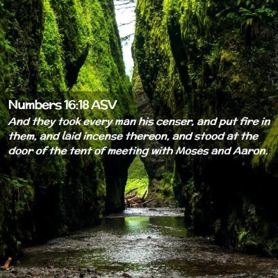 Picture 02 - Numbers 16:18 ASV - And they took every man his censer, and put fire - Bible Verse Picture