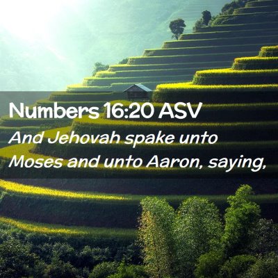 Picture 02 - Numbers 16:20 ASV - And Jehovah spake unto Moses and unto Aaron, - Bible Verse Picture