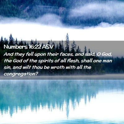 Picture 02 - Numbers 16:22 ASV - And they fell upon their faces, and said, O God, - Bible Verse Picture