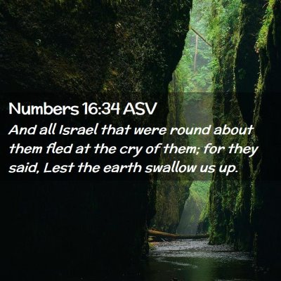 Picture 02 - Numbers 16:34 ASV - And all Israel that were round about them fled at - Bible Verse Picture