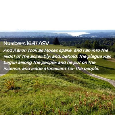Picture 02 - Numbers 16:47 ASV - And Aaron took as Moses spake, and ran into the - Bible Verse Picture