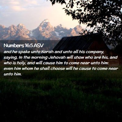 Picture 02 - Numbers 16:5 ASV - and he spake unto Korah and unto all his company, - Bible Verse Picture