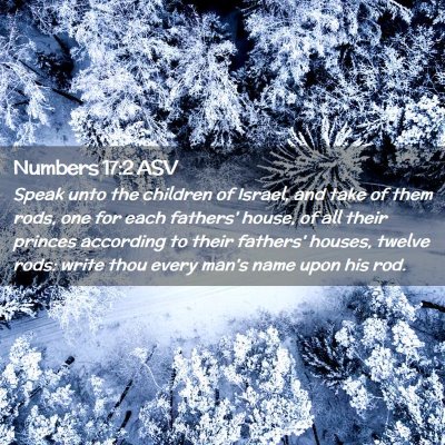 Picture 02 - Numbers 17:2 ASV - Speak unto the children of Israel, and take of - Bible Verse Picture