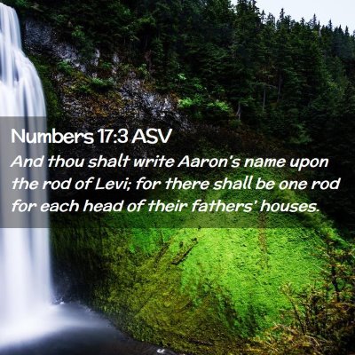 Picture 02 - Numbers 17:3 ASV - And thou shalt write Aaron's name upon the rod of - Bible Verse Picture