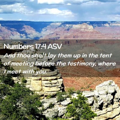 Picture 02 - Numbers 17:4 ASV - And thou shalt lay them up in the tent of meeting - Bible Verse Picture