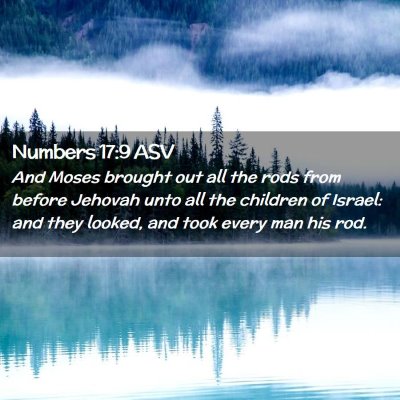 Picture 02 - Numbers 17:9 ASV - And Moses brought out all the rods from before - Bible Verse Picture