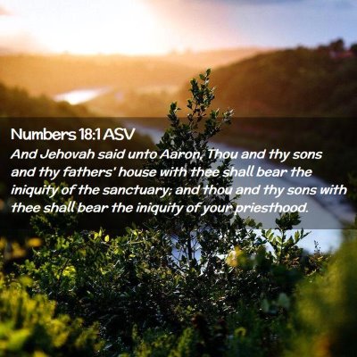 Picture 02 - Numbers 18:1 ASV - And Jehovah said unto Aaron, Thou and thy sons - Bible Verse Picture