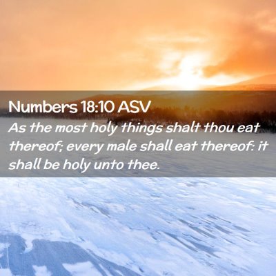 Picture 02 - Numbers 18:10 ASV - As the most holy things shalt thou eat thereof; - Bible Verse Picture