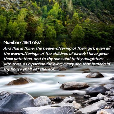 Picture 02 - Numbers 18:11 ASV - And this is thine: the heave-offering of their - Bible Verse Picture