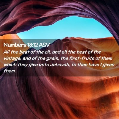 Picture 02 - Numbers 18:12 ASV - All the best of the oil, and all the best of the - Bible Verse Picture
