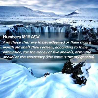 Picture 02 - Numbers 18:16 ASV - And those that are to be redeemed of them from a - Bible Verse Picture
