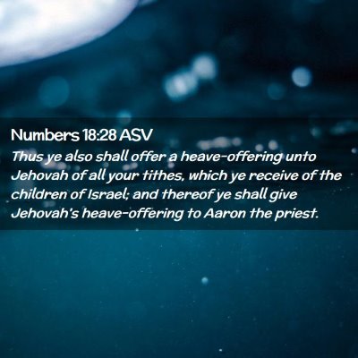 Picture 02 - Numbers 18:28 ASV - Thus ye also shall offer a heave-offering unto - Bible Verse Picture