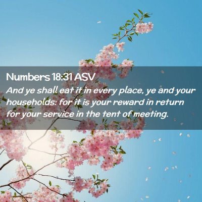 Picture 02 - Numbers 18:31 ASV - And ye shall eat it in every place, ye and your - Bible Verse Picture
