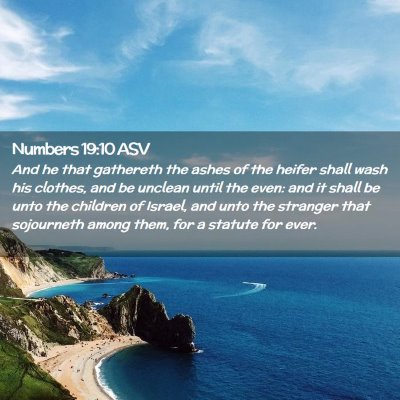 Picture 02 - Numbers 19:10 ASV - And he that gathereth the ashes of the heifer - Bible Verse Picture
