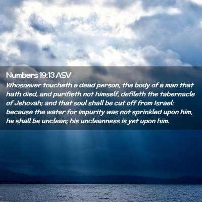 Picture 02 - Numbers 19:13 ASV - Whosoever toucheth a dead person, the body of a - Bible Verse Picture