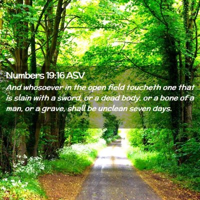Picture 02 - Numbers 19:16 ASV - And whosoever in the open field toucheth one that - Bible Verse Picture