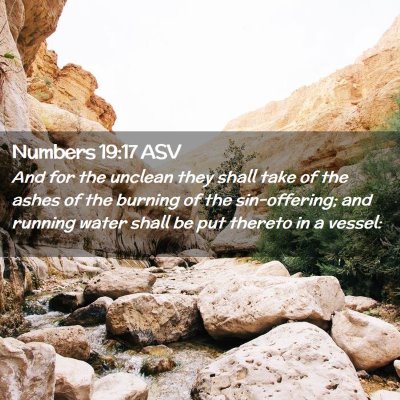 Picture 02 - Numbers 19:17 ASV - And for the unclean they shall take of the ashes - Bible Verse Picture