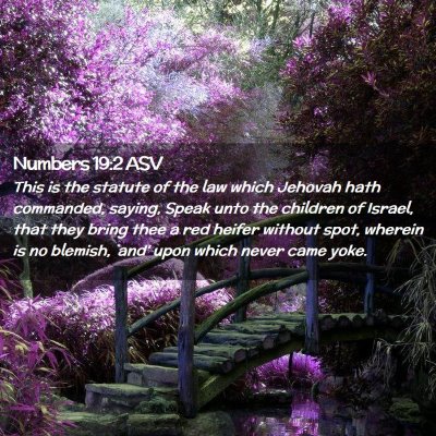 Picture 02 - Numbers 19:2 ASV - This is the statute of the law which Jehovah hath - Bible Verse Picture