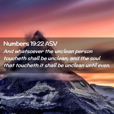 Picture 02 - Numbers 19:22 ASV - And whatsoever the unclean person toucheth shall - Bible Verse Picture