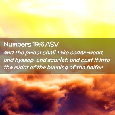 Picture 02 - Numbers 19:6 ASV - and the priest shall take cedar-wood, and hyssop, - Bible Verse Picture