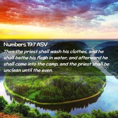 Picture 02 - Numbers 19:7 ASV - Then the priest shall wash his clothes, and he - Bible Verse Picture