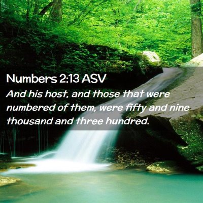 Picture 02 - Numbers 2:13 ASV - And his host, and those that were numbered of - Bible Verse Picture