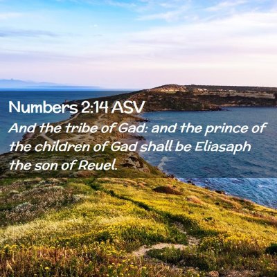 Picture 02 - Numbers 2:14 ASV - And the tribe of Gad: and the prince of the - Bible Verse Picture