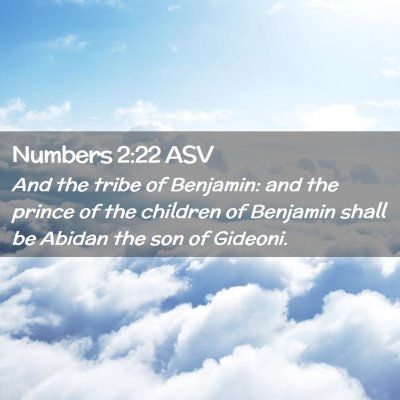 Picture 02 - Numbers 2:22 ASV - And the tribe of Benjamin: and the prince of the - Bible Verse Picture