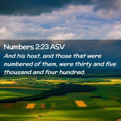 Picture 02 - Numbers 2:23 ASV - And his host, and those that were numbered of - Bible Verse Picture