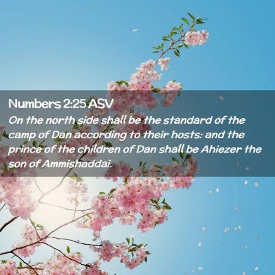 Picture 02 - Numbers 2:25 ASV - On the north side shall be the standard of the - Bible Verse Picture