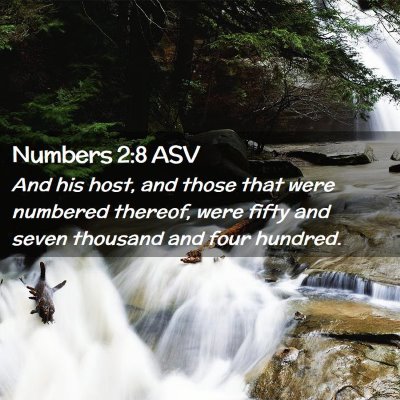 Picture 02 - Numbers 2:8 ASV - And his host, and those that were numbered - Bible Verse Picture