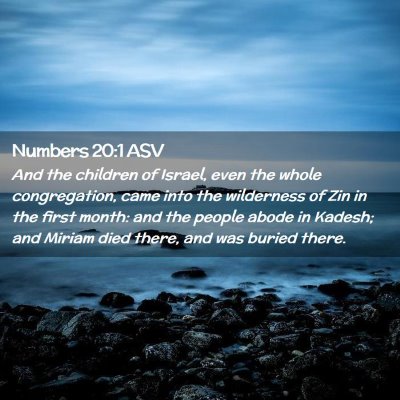Picture 02 - Numbers 20:1 ASV - And the children of Israel, even the whole - Bible Verse Picture