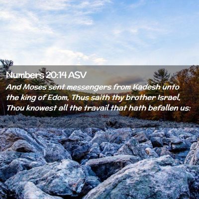Picture 02 - Numbers 20:14 ASV - And Moses sent messengers from Kadesh unto the - Bible Verse Picture