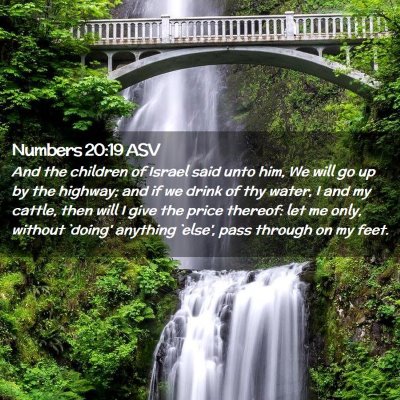 Picture 02 - Numbers 20:19 ASV - And the children of Israel said unto him, We will - Bible Verse Picture